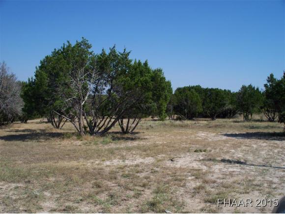 331 Sunrise Hills, Lampasas, TX 76550