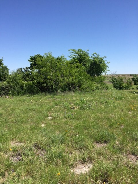 0 CR 2109, Lampasas, TX 76550