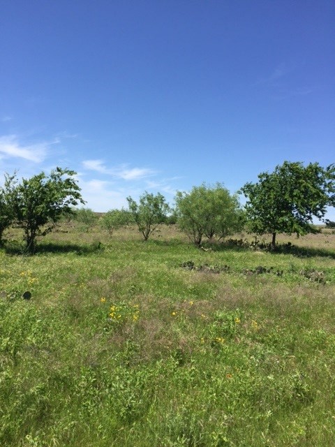 0 CR 2109, Lampasas, TX 76550