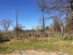 163 COUNTY ROAD 329