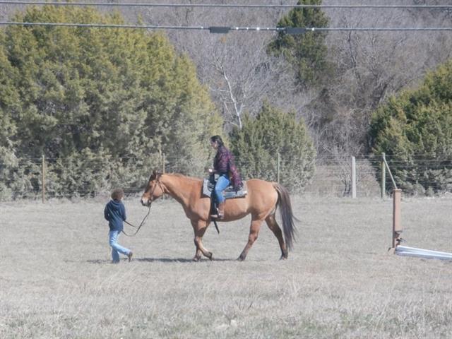 23000 Star Ranch Drive, Whitney, TX 76692