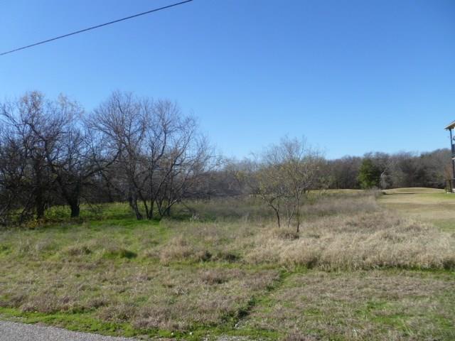 17004 Trailwood Drive, Whitney, TX 76692