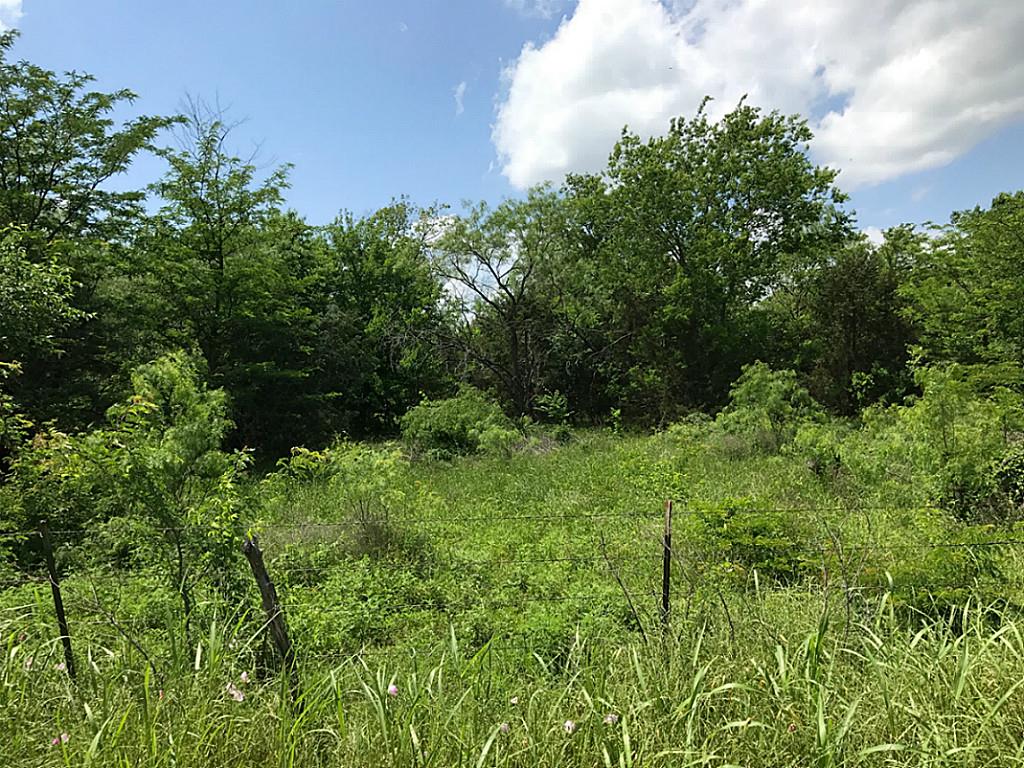 62 Ac CR 991, Wortham, TX 76693