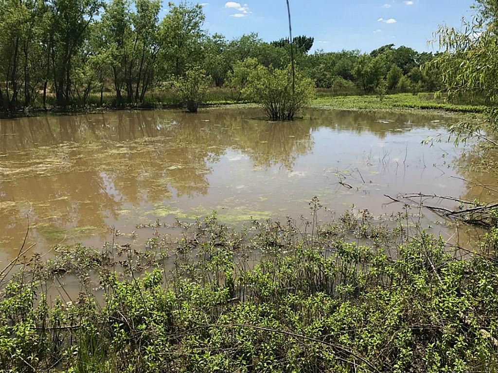 62 Ac CR 991, Wortham, TX 76693