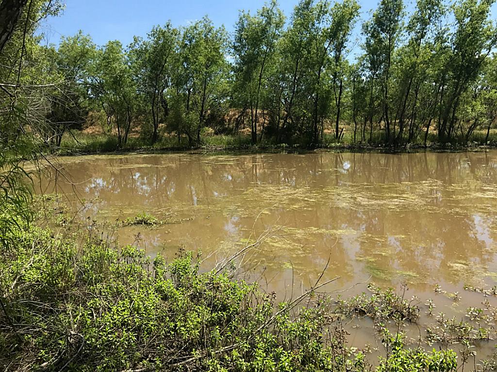 62 Ac CR 991, Wortham, TX 76693