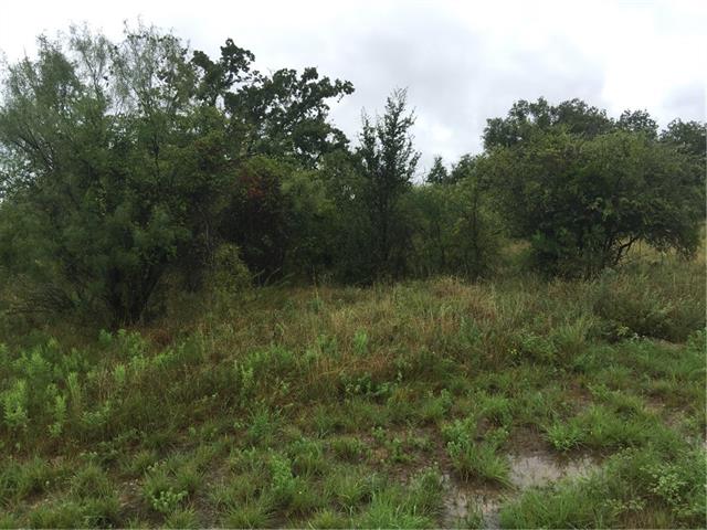 Tbd Feather Bay DR Drive, Brownwood, TX 76801