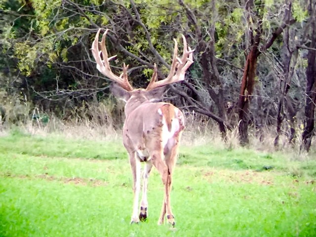 420 S County Road 430, Regency, TX 76864