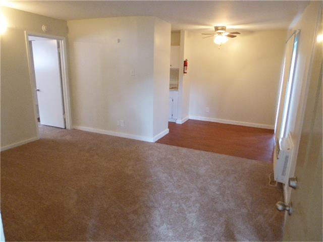 3629 N Macgregor Way, Houston, TX 77004