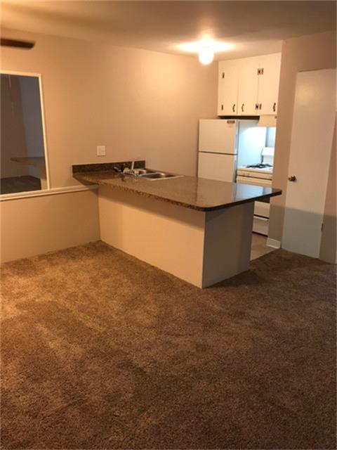 510 Branard Street, Houston, TX 77006