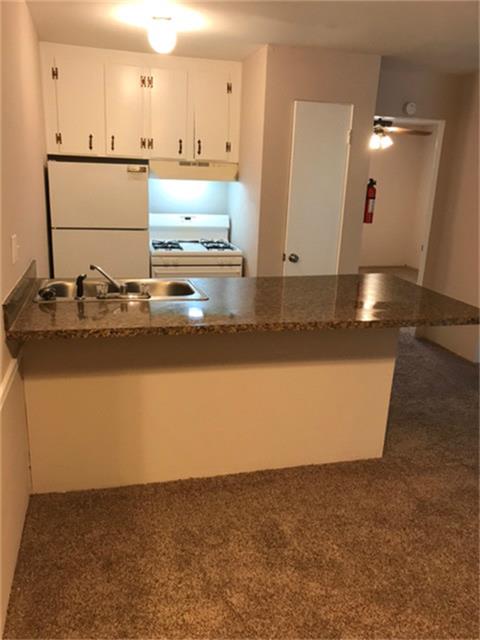 510 Branard Street, Houston, TX 77006
