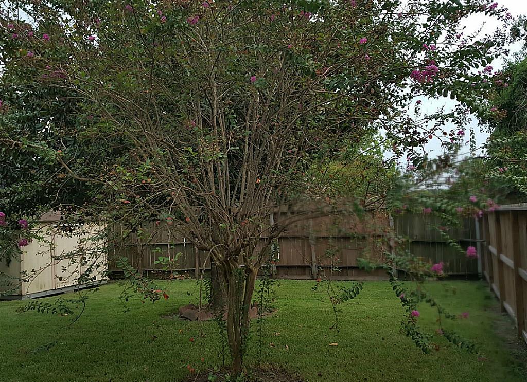 1307 Clear Valley Drive, Houston, TX 77014