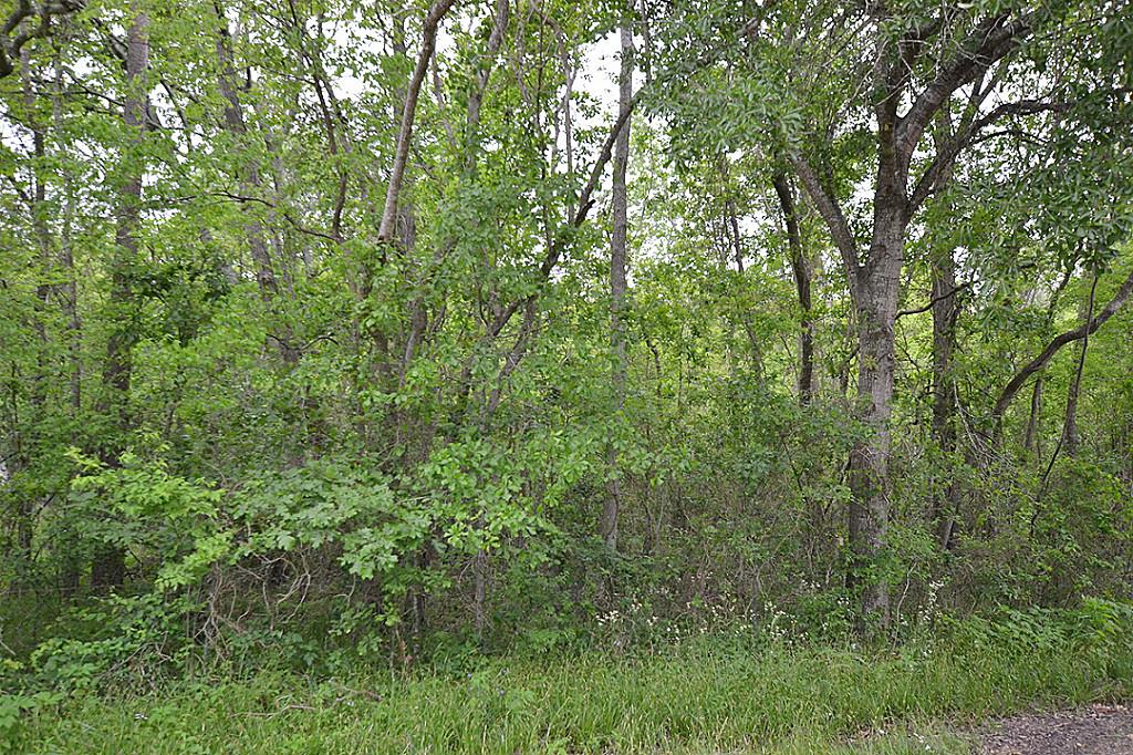 Lot 3 Mayle Street, Houston, TX 77016