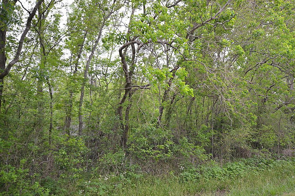 Lot 3 Mayle Street, Houston, TX 77016