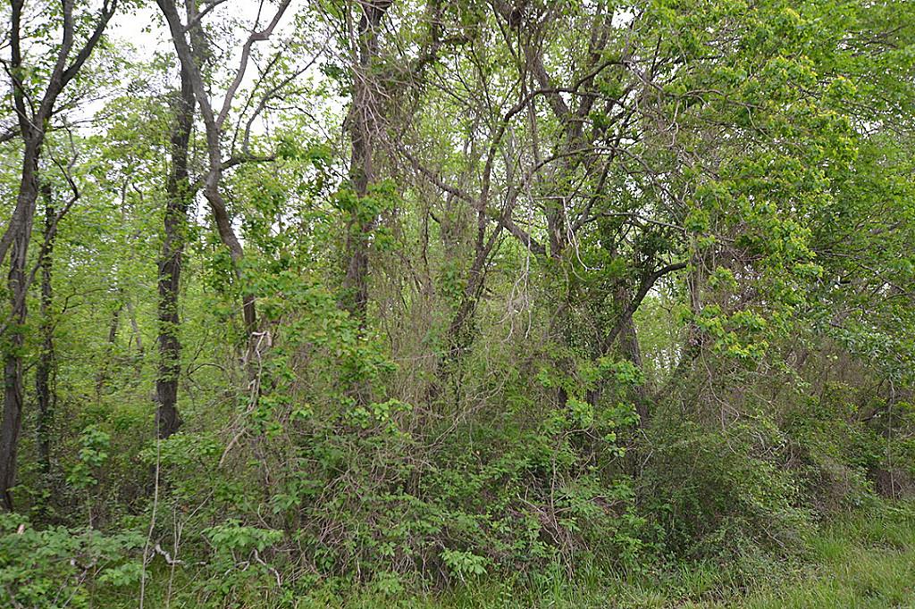 Lot 3 Mayle Street, Houston, TX 77016