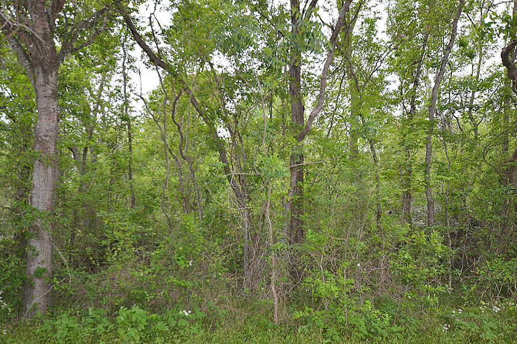 Lot 3 Mayle Street, Houston, TX 77016