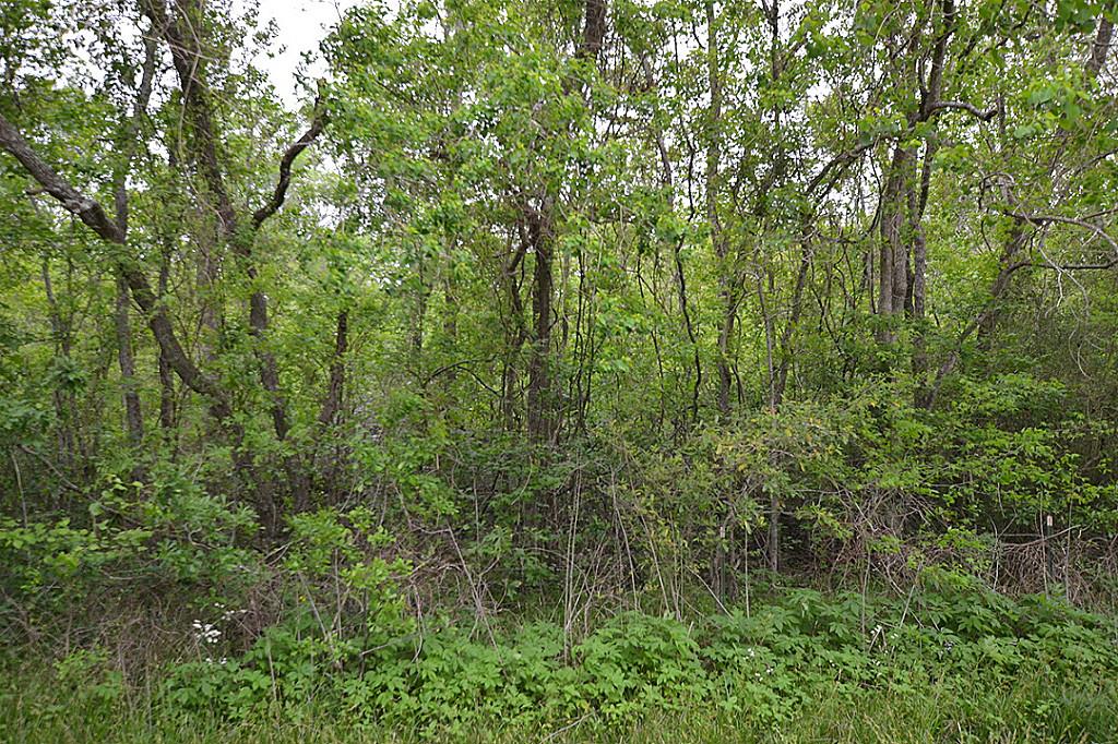 Lot 3 Mayle Street, Houston, TX 77016