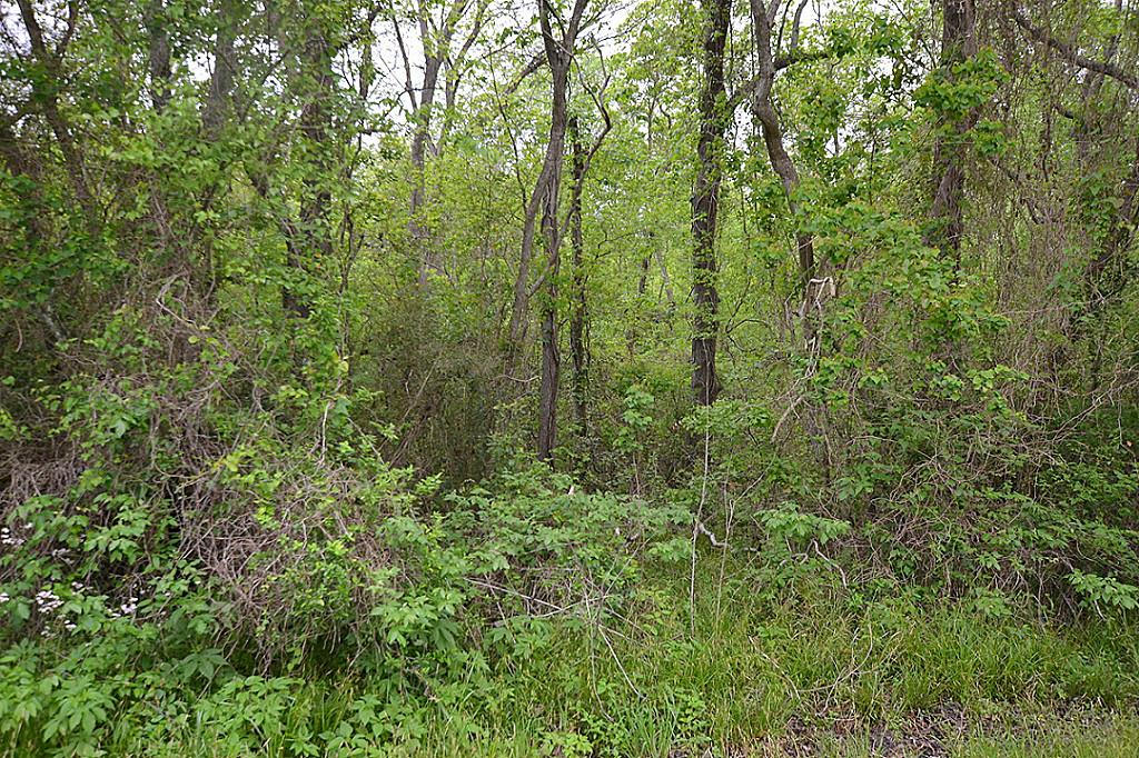 Lot 3 Mayle Street, Houston, TX 77016