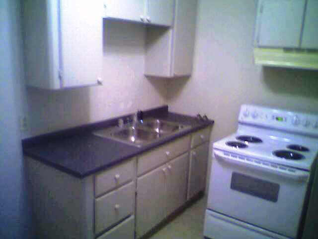 1402 Gustav Street, Houston, TX 77023