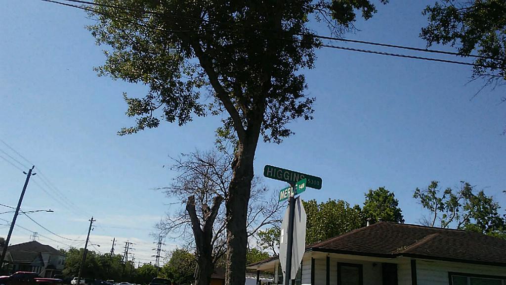 5309 Higgins, Houston, TX 77033