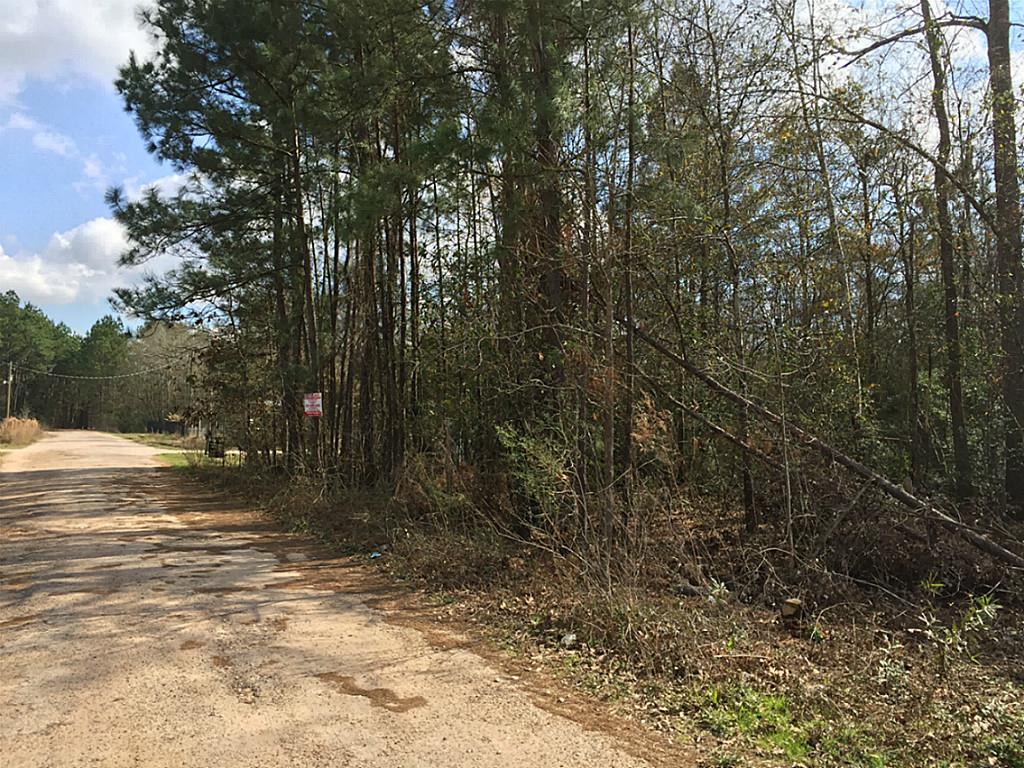 25682 Sussex, New Caney, TX 77043