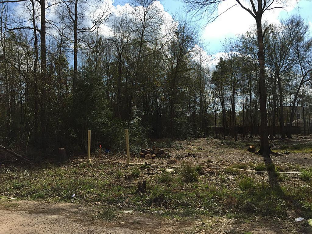 25682 Sussex, New Caney, TX 77043