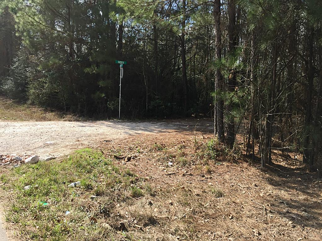 25682 Sussex, New Caney, TX 77043