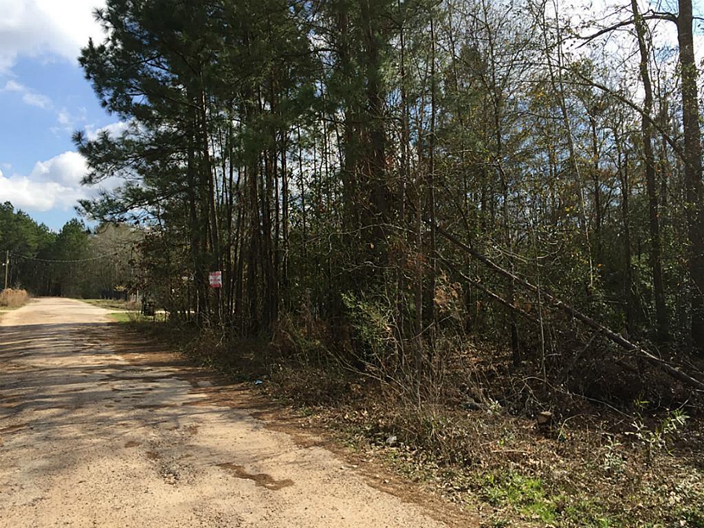 25682 Sussex, New Caney, TX 77043