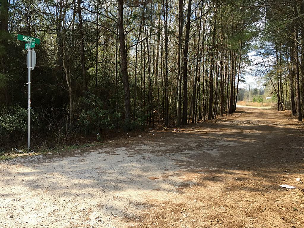 25682 Sussex, New Caney, TX 77043