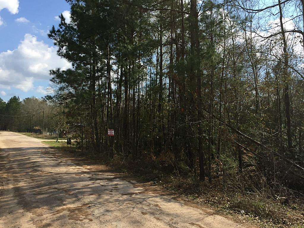 25682 Sussex, New Caney, TX 77043