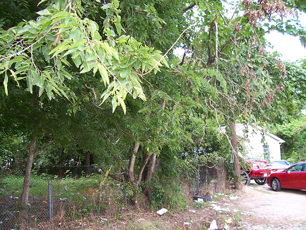 8610 Williamsdell Street, Houston, TX 77088