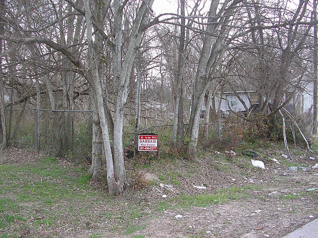 8610 Williamsdell Street, Houston, TX 77088