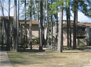 800 Bellshire Drive, Conroe, TX 77301
