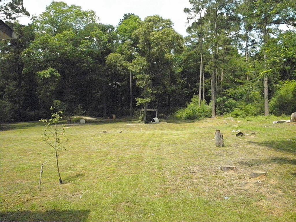 10558 Fm 2432 Road, Conroe, TX 77303