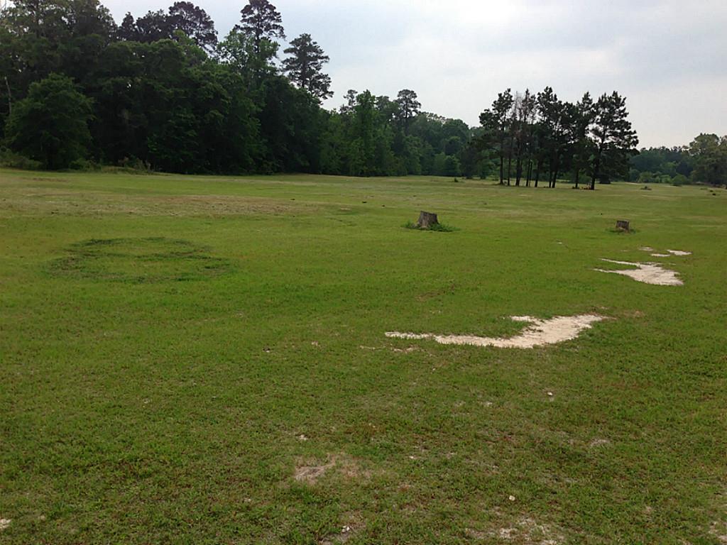 13215 Highway 105, Conroe, TX 77306