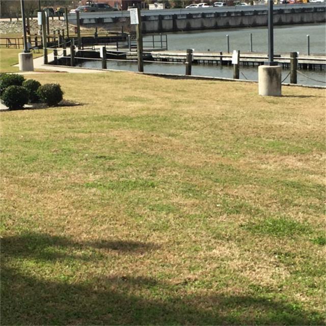 16649 E Forrestal, Montgomery, TX 77316