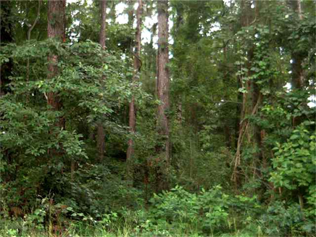 Lot 232 Corinthian Way, Willis, TX 77318