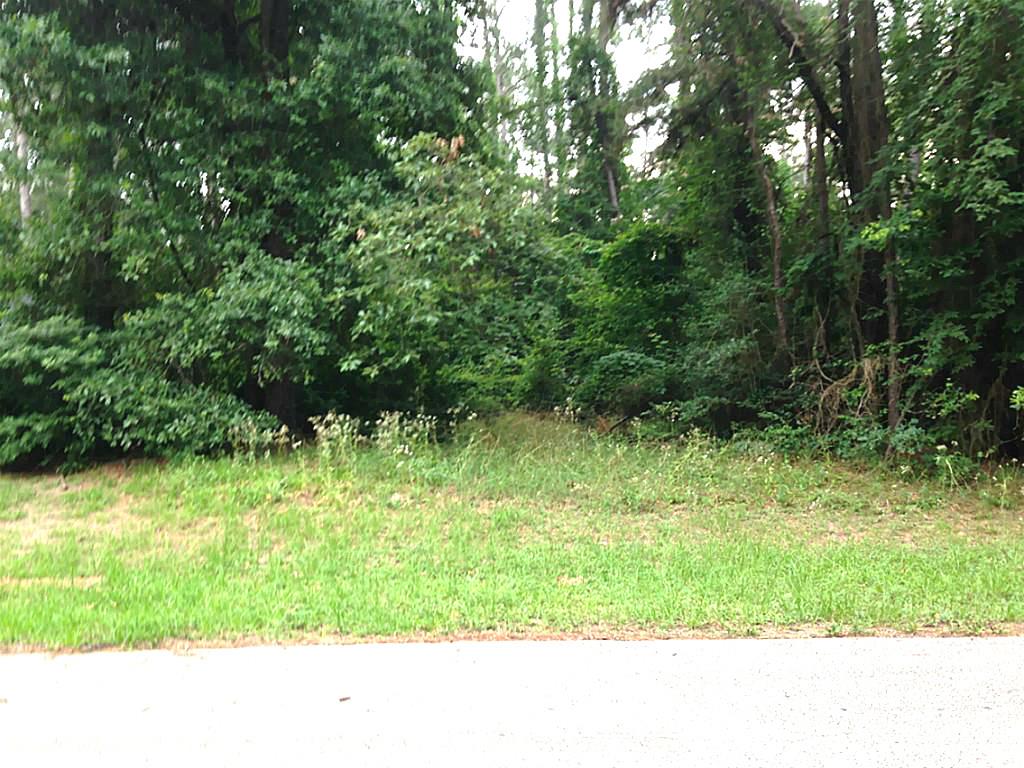 Lot 232 Corinthian Way, Willis, TX 77318
