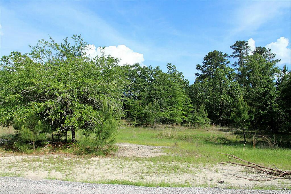 Tbd Oakdale Drive, Huntsville, TX 77320