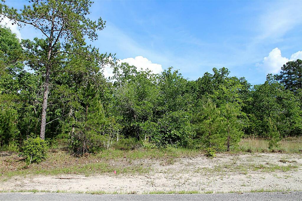 Tbd Oakdale Drive, Huntsville, TX 77320