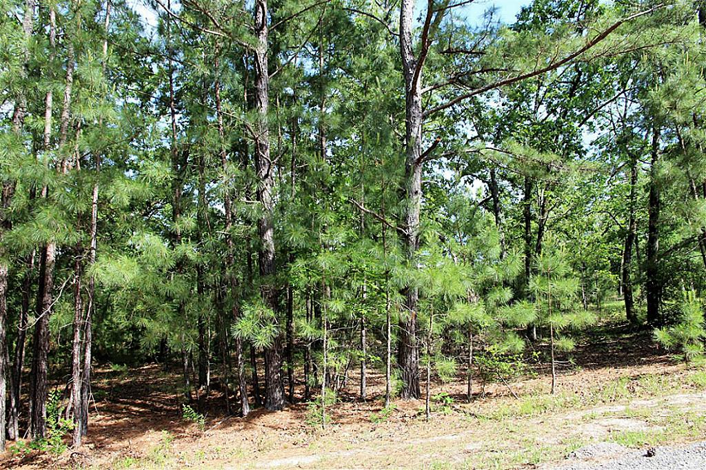 Tbd Oakdale Drive, Huntsville, TX 77320