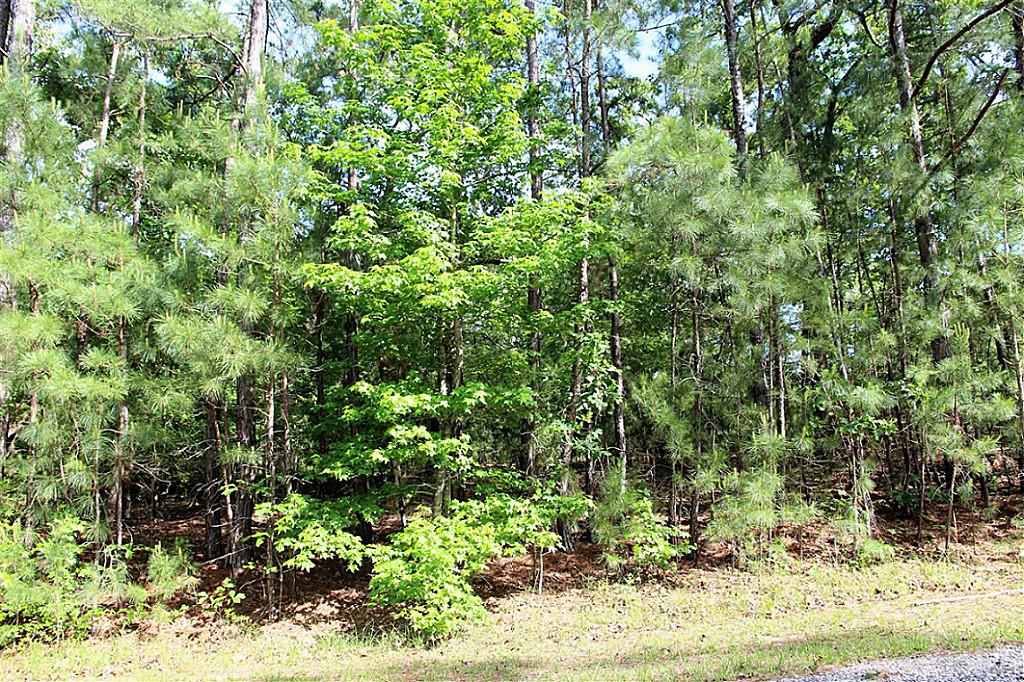 Tbd Oakdale Drive, Huntsville, TX 77320