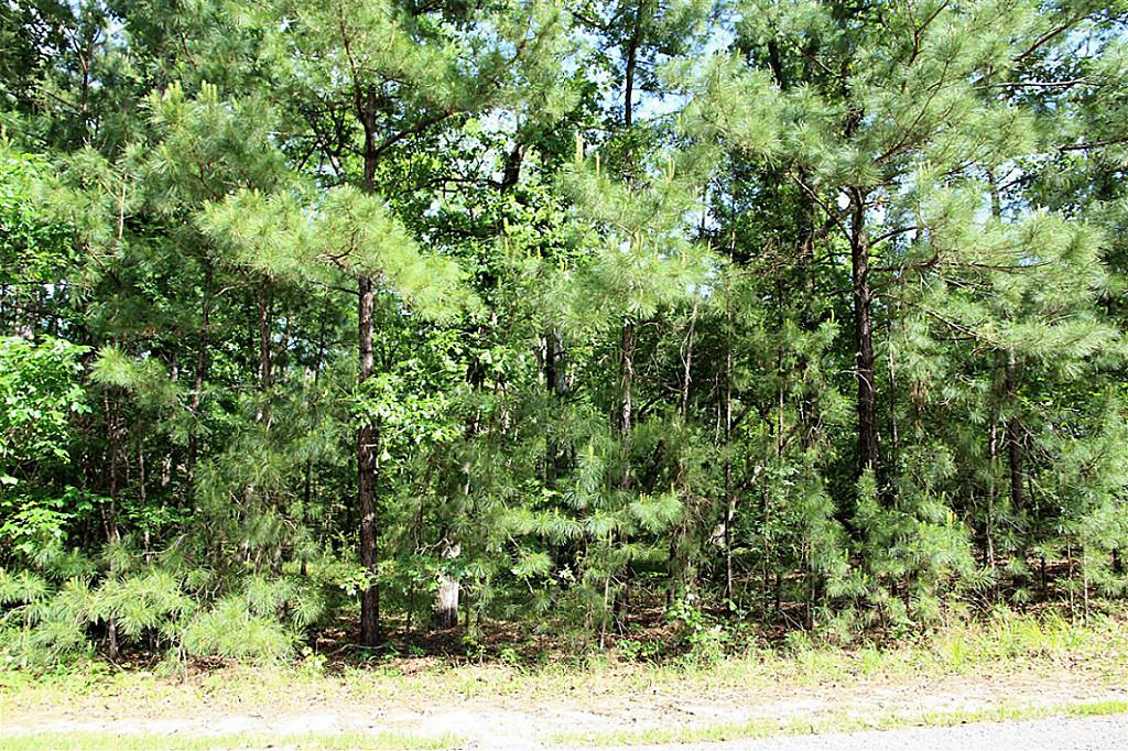 Tbd Oakdale Drive, Huntsville, TX 77320