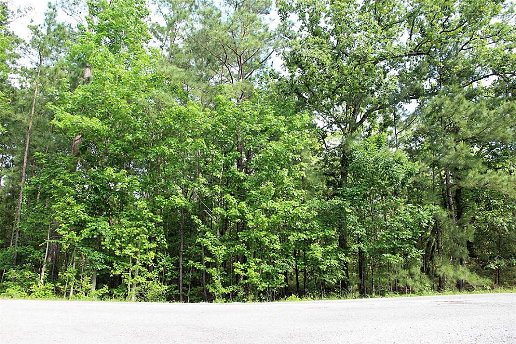 Tbd Oakdale Drive, Huntsville, TX 77320
