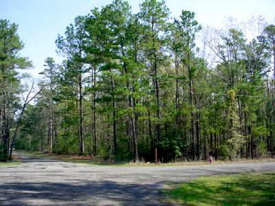 24540 White Oak Lane, Huntsville, TX 77320