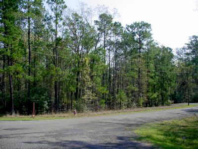 24540 White Oak Lane, Huntsville, TX 77320