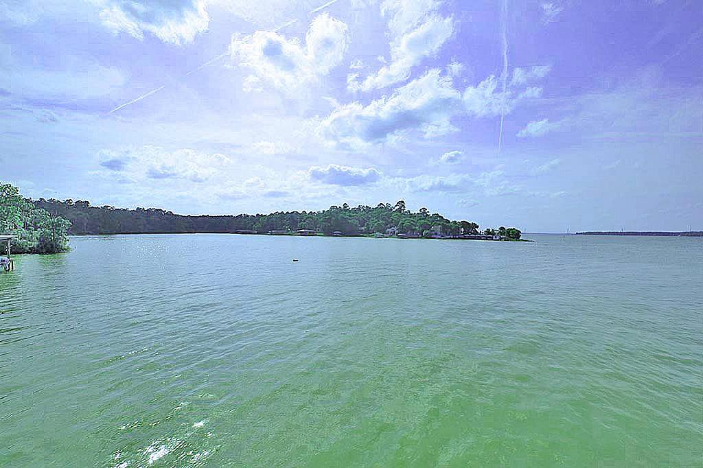 Tbd Hass Place, Huntsville, TX 77320