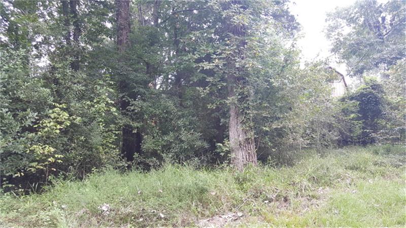 0 County Road 2166, Cleveland, TX 77327