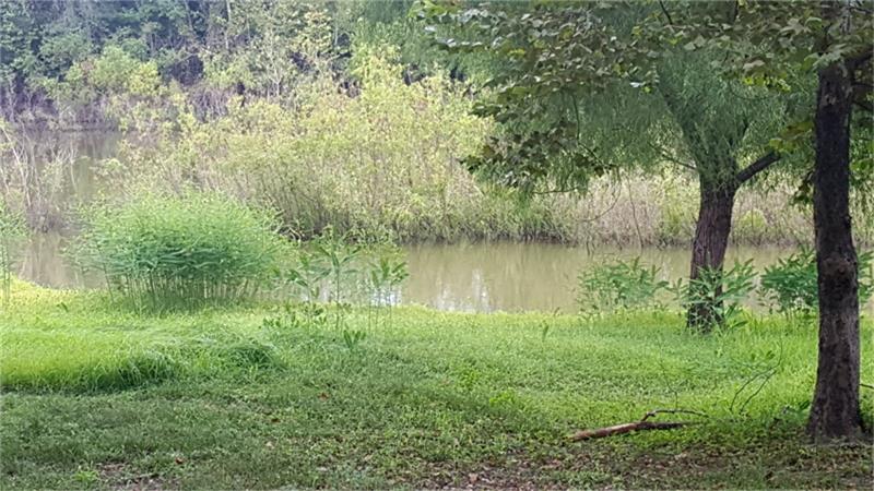 0 County Road 2166, Cleveland, TX 77327