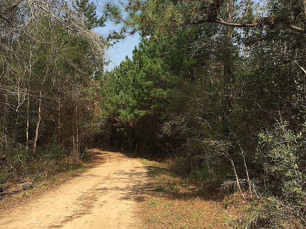 1 Ac CR 2309, Tarkington, TX 77327