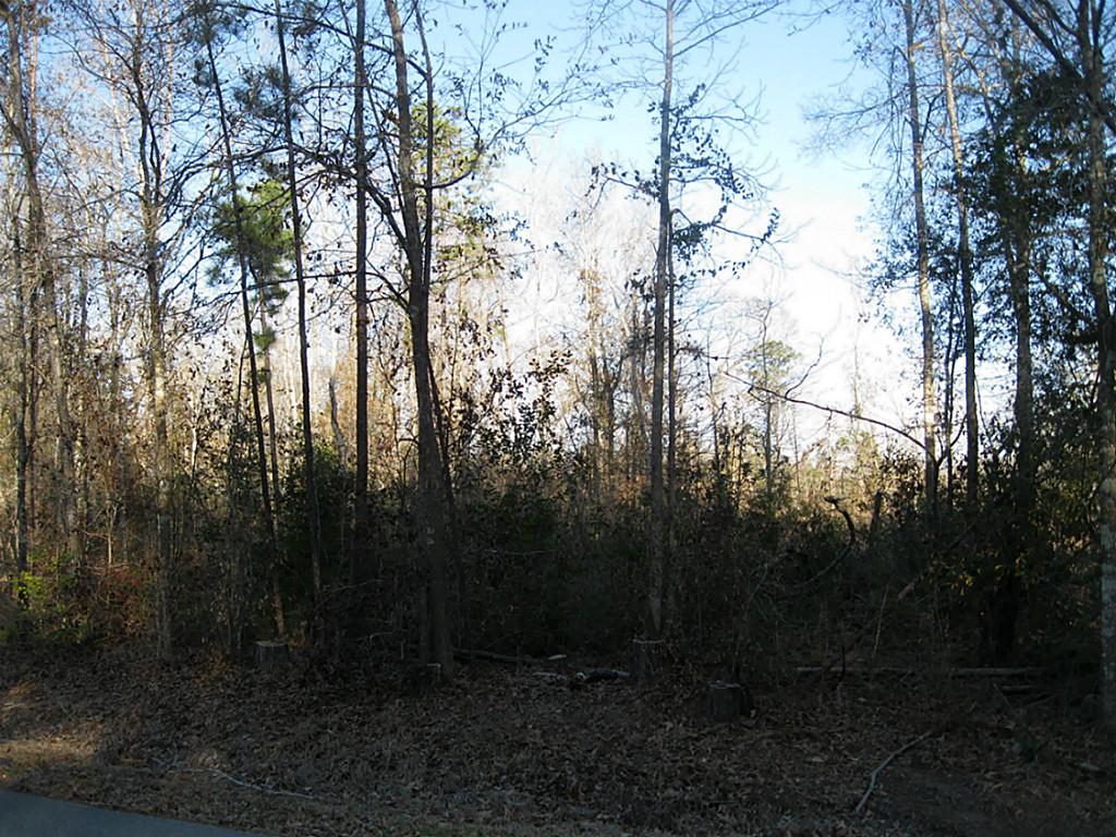 550 CR 3372, Cleveland, TX 77327